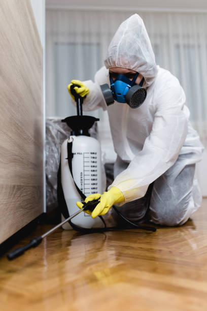 Best Bed Bug Extermination  in Seacliff, CA